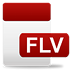 FLV Video Player 播放器