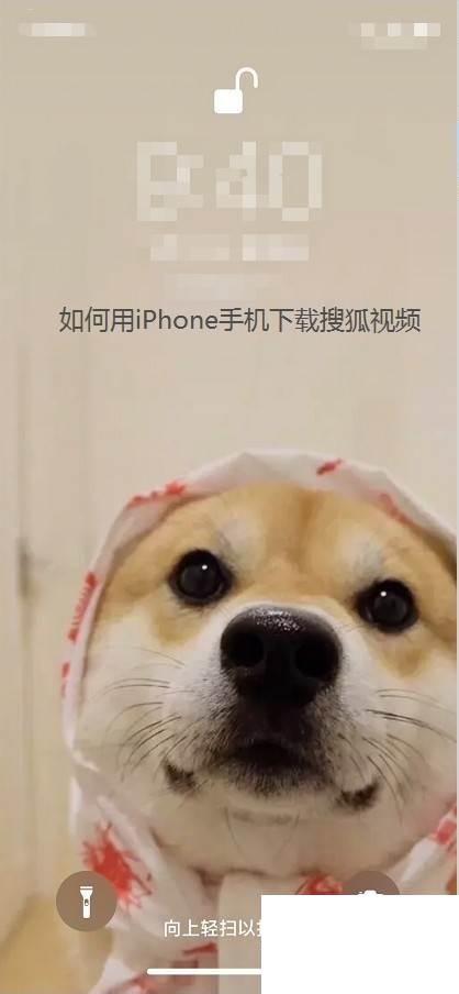 如何用iPhone手机下载搜狐视频