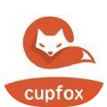 Cupfox茶杯狐