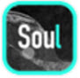 soulmate全部点亮app 4.27.0