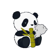 小熊猫内部版（国宝框架） 1.0安卓版
