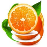 橙子视频 安卓版v2.2.2