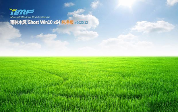 ľWin10 x64λ ϵͳ v2020.12