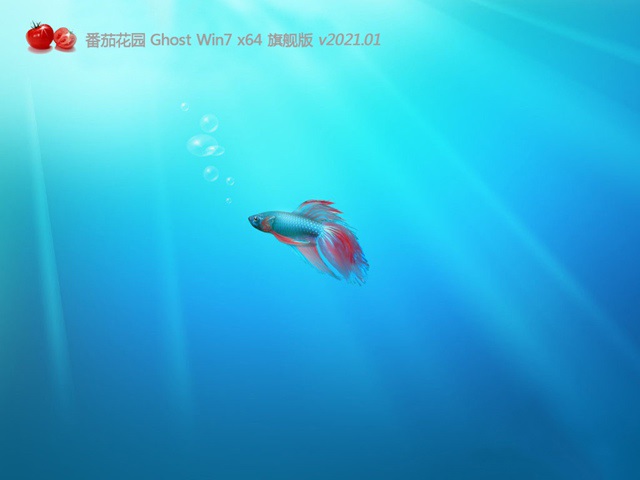 ѻ԰ Win7 X64 ghost ϵͳ V2021.01