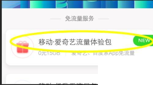 爱奇艺播放器电脑版免费下载_如何使用爱奇艺获得免费流量