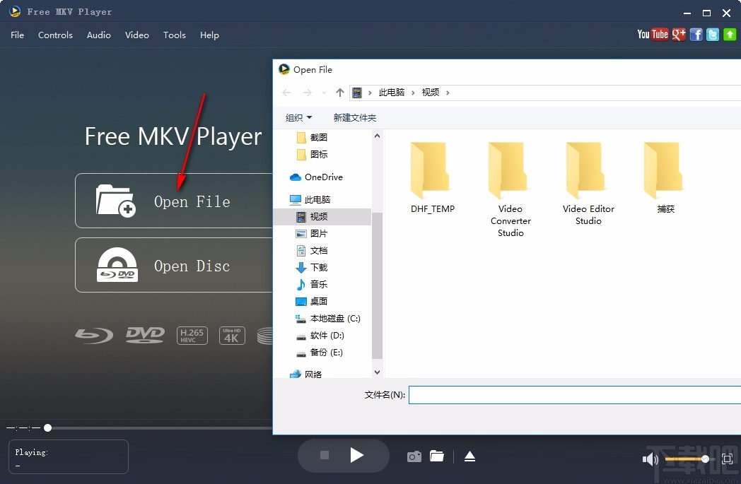 Aiseesoft Free MKV Player(MKV播放器) 