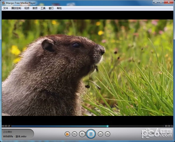 Macgo Free Media Player(视频播放器)