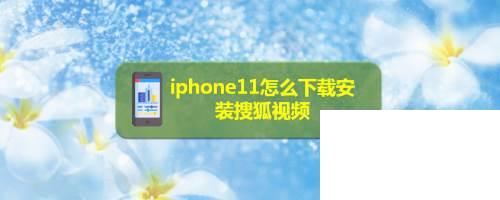 iphone11怎么下载安装搜狐视频
