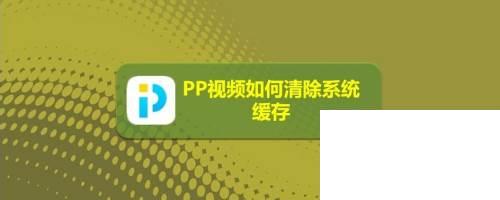 PP视频如何清除系统缓存