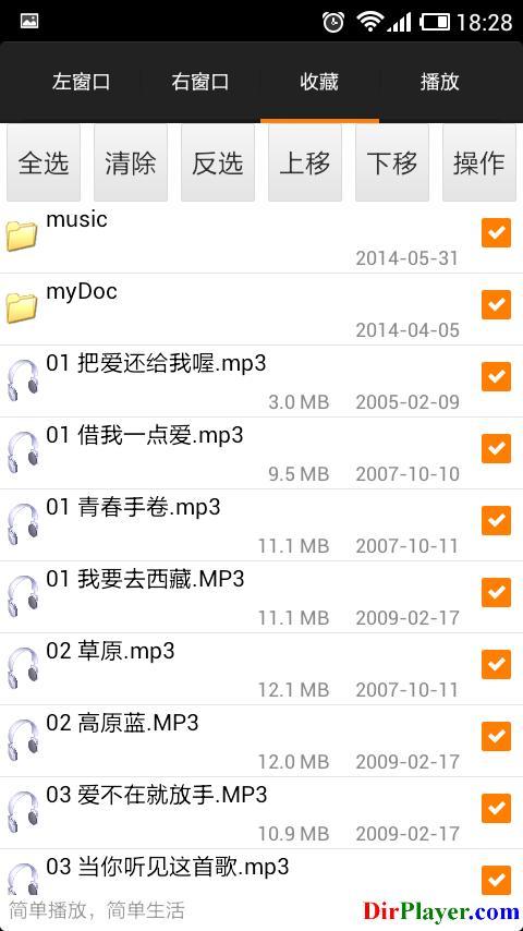 DirPlayer