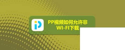 PP视频如何允许非WI-FI下载