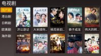 无极影院tv