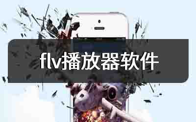 flv播放器软件