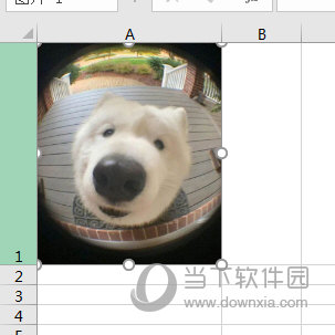 Excel2016怎么把图片嵌入到单元格里 一个操作即可