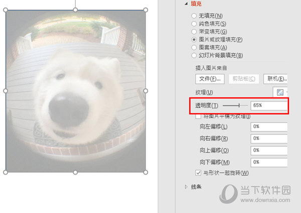 PPT2016怎么设置图片透明度 这方法了解下