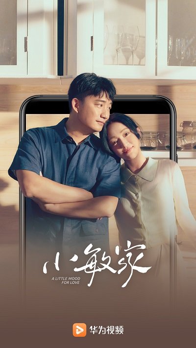 华为手机视频播放器软件