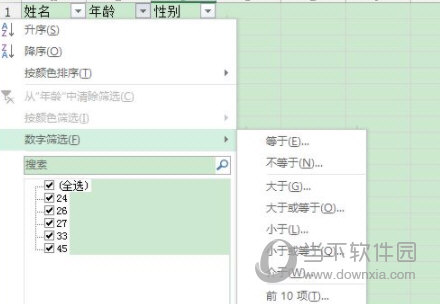 Excel2013怎么筛选 操作方法