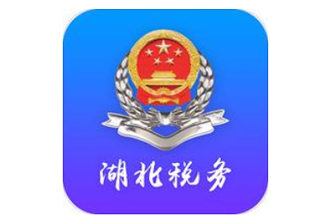 湖北税务APP怎么没有了？湖北税务APP代缴小孩医保显示已停保什么原因?