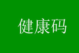 双击背面打开健康码怎么操作的？安卓怎么双击背面打开支付宝健康码？