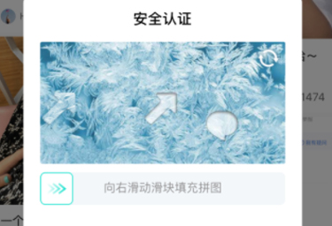 小红书总是要验证拼图怎么回事2021？小红书打开就跳出安全认证怎么解决？