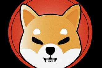 shib合约不存在是怎么回事 shib怎么开合约