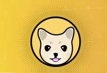 kishu币什么时候上火币，币安？kishu币销毁机制是怎么样的？