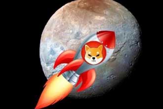 shib是不是割韭菜 马斯克是支持的狗狗币还是shib