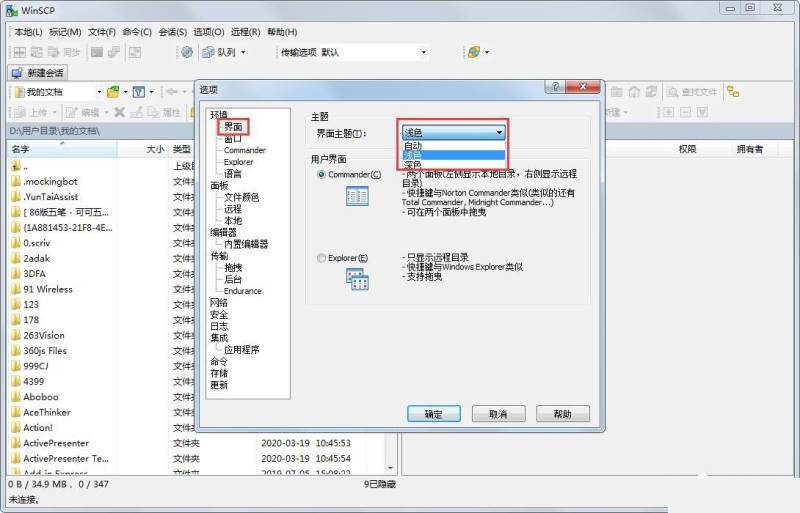 WinSCP如何更改界面主题?