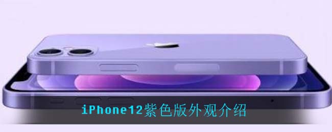 iPhone12紫色版外观介绍