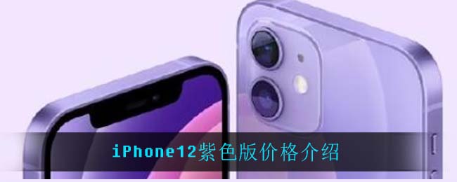 iPhone12紫色版价格介绍