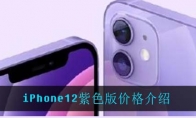 iPhone12紫色版价格介绍