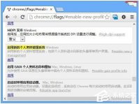 谷歌浏览器如何使用访客模式 谷歌浏览器使用访客模式的方法