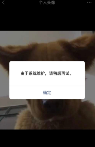 微信换不了头像什么原因？微信系统维护什么时候结束？