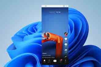 Windows11怎么下载安卓应用 win11下载安卓应用教程