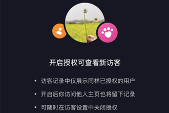 抖音访客记录能看到陌生人吗？抖音访客记录不打开对方是不是看不到？