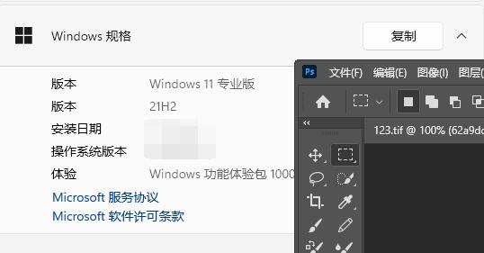 ps cs5支持win11吗