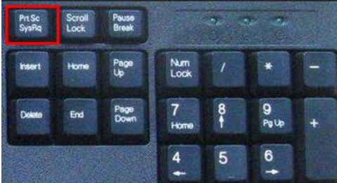 谷歌浏览器截图快捷键是什么 谷歌浏览器截图操作方法介绍