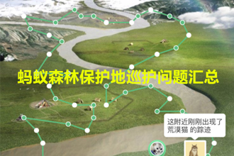 蚂蚁森林巡护有什么用？蚂蚁森林巡护地问题答案大全