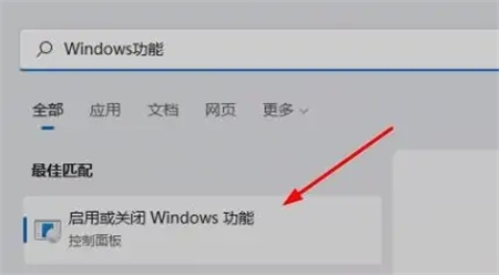 win11沙盒怎么打开 win11沙盒怎么打开方法介绍