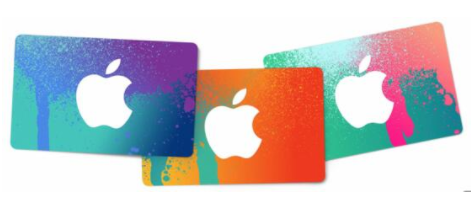 Apple Store主要付款方式没有信用卡，支付宝吗？Apple Store主要付款方式只有visa吗？