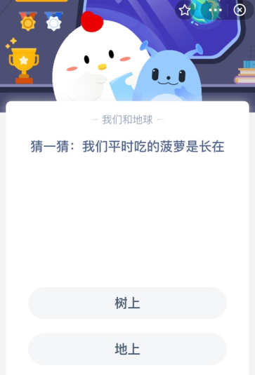 猜一猜:我们平时吃的菠萝是长在？