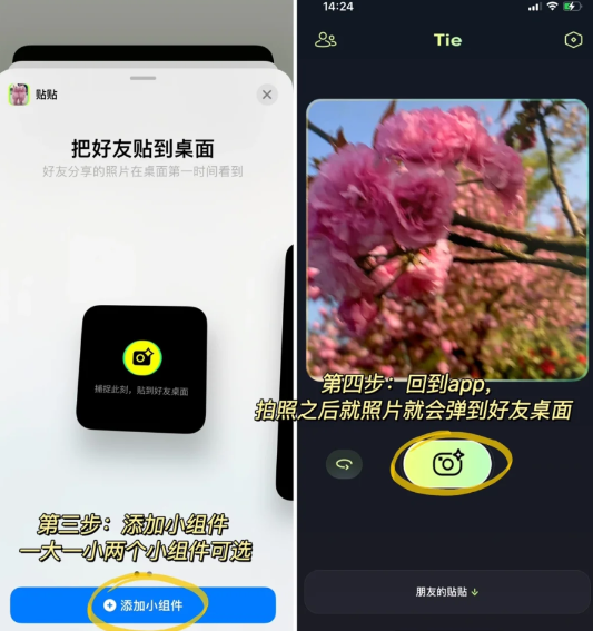 贴贴可以加几个好友？贴贴最多有几个密友？