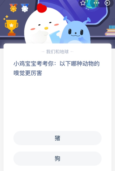 小鸡宝宝考考你:以下哪种动物的嗅觉更厉害？