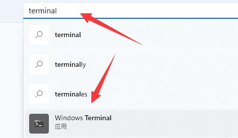 win11找不到文件wt.exe怎么办 win11找不到文件wt.exe解决方法