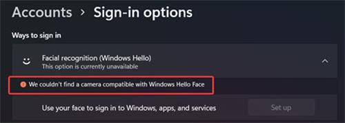 windows11人脸识别设置不了怎么办 windows11激活面部识别功能方法介绍