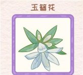 花店物语玉簪花怎么获得 花店物语玉簪花获得方法