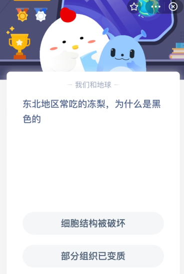 东北地区常吃的冻梨，为什么是黑色的？