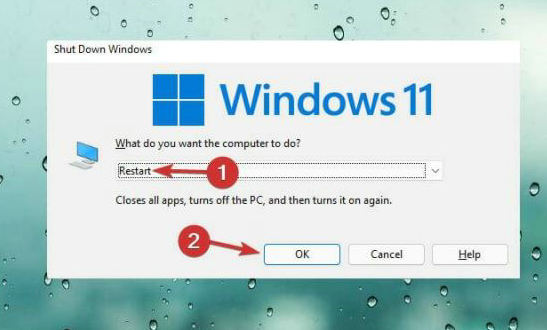 windows11触摸板用不了怎么办 windows11触摸板用不了解决方法