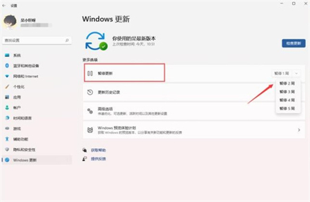 win11自动更新怎么关闭 win11自动更新怎么关闭方法介绍