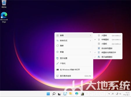 win11桌面图标怎么设置大小 win11桌面图标设置大小方法介绍